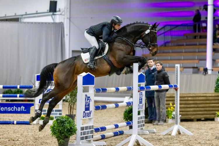 Lucan-MS26-SWiecha-web750