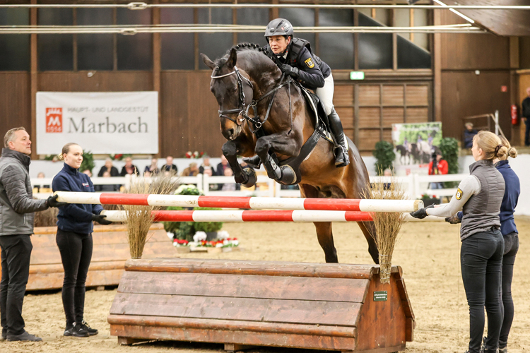 equestfoto_2026-Hengstschau-Marbach-000638_web750